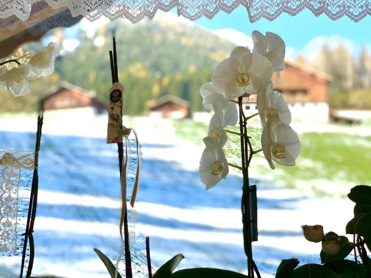 Apartment Hanile Sarentino Εξωτερικό φωτογραφία
